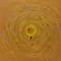 Wiroman 101,acryl, 100cm x 100cm, 2011r. (TW11)